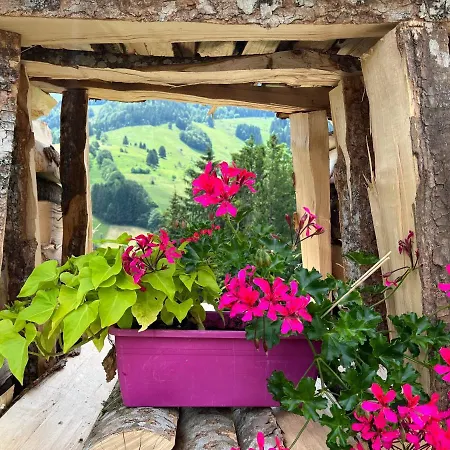 Ferienwohnung Im Historischen Schwarzwaldhaus Wieden Extérieur photo