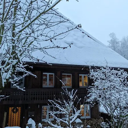 Ferienwohnung Im Historischen Schwarzwaldhaus Wieden Extérieur photo